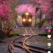 ヒメ日記 2025/04/29 23:34 投稿 つぐみ 成田人妻花壇