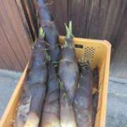 ヒメ日記 2025/04/30 08:51 投稿 つぐみ 成田人妻花壇