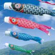 ヒメ日記 2025/05/05 07:29 投稿 つぐみ 成田人妻花壇