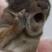 ヒメ日記 2025/05/10 15:42 投稿 つぐみ 成田人妻花壇