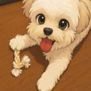 ヒメ日記 2025/05/11 23:21 投稿 つぐみ 成田人妻花壇