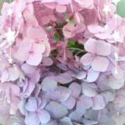 ヒメ日記 2025/06/21 07:53 投稿 つぐみ 成田人妻花壇