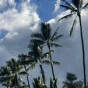 ヒメ日記 2025/07/06 22:15 投稿 つぐみ 成田人妻花壇