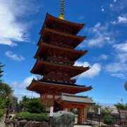 ヒメ日記 2025/07/12 12:07 投稿 つぐみ 成田人妻花壇