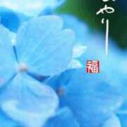 ヒメ日記 2025/07/16 10:35 投稿 つぐみ 成田人妻花壇