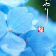 ヒメ日記 2025/07/17 08:38 投稿 つぐみ 成田人妻花壇