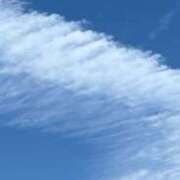 ヒメ日記 2025/07/23 16:16 投稿 つぐみ 成田人妻花壇