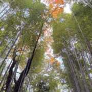 ヒメ日記 2025/01/12 13:27 投稿 ゆず 岐阜岐南各務原ちゃんこ