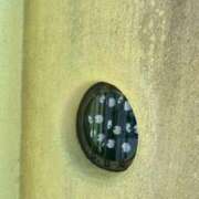 ヒメ日記 2025/01/17 13:27 投稿 ゆず 岐阜岐南各務原ちゃんこ