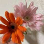 ヒメ日記 2025/01/12 13:22 投稿 亀井まゆこ 五十路マダム　広島店