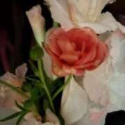 ヒメ日記 2025/03/11 10:38 投稿 亀井まゆこ 五十路マダム　広島店