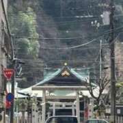 ヒメ日記 2025/03/25 10:46 投稿 亀井まゆこ 五十路マダム　広島店