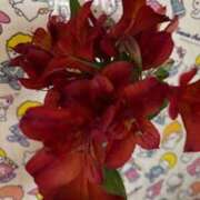 ヒメ日記 2025/04/14 14:04 投稿 亀井まゆこ 五十路マダム　広島店