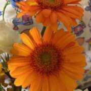 ヒメ日記 2025/04/21 19:38 投稿 亀井まゆこ 五十路マダム　広島店