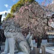 ヒメ日記 2025/04/22 12:02 投稿 亀井まゆこ 五十路マダム　広島店