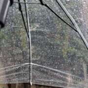 ヒメ日記 2025/05/24 11:52 投稿 亀井まゆこ 五十路マダム　広島店