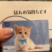 ヒメ日記 2025/05/30 16:34 投稿 亀井まゆこ 五十路マダム　広島店