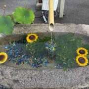 ヒメ日記 2025/07/14 19:48 投稿 亀井まゆこ 五十路マダム　広島店