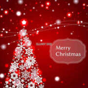 亀井まゆこ クリスマスです 五十路マダム　広島店