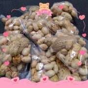 ヒメ日記 2025/02/05 14:25 投稿 桜井 遊び妻 木更津店