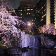 ヒメ日記 2025/03/31 13:33 投稿 桜井 遊び妻 木更津店