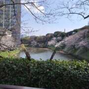 ヒメ日記 2025/04/01 21:43 投稿 桜井 遊び妻 木更津店