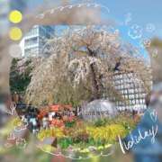 ヒメ日記 2025/04/10 14:15 投稿 桜井 遊び妻 木更津店