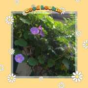 ヒメ日記 2025/07/08 15:26 投稿 桜井 遊び妻 木更津店