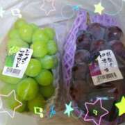 ヒメ日記 2026/09/12 01:35 投稿 桜井 遊び妻 木更津店