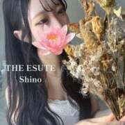 ヒメ日記 2026/09/04 08:20 投稿 しの THE ESUTE 五反田店