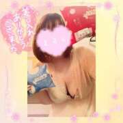 ヒメ日記 2025/01/23 02:22 投稿 花柳まろん しこたま奥様 横浜店