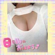 ヒメ日記 2025/02/09 08:22 投稿 花柳まろん しこたま奥様 横浜店