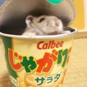 ヒメ日記 2025/02/28 20:33 投稿 花柳まろん しこたま奥様 横浜店