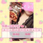 ヒメ日記 2025/03/03 11:22 投稿 花柳まろん しこたま奥様 横浜店