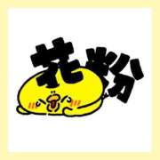 ヒメ日記 2025/03/16 13:52 投稿 花柳まろん しこたま奥様 横浜店