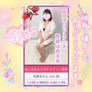 ヒメ日記 2025/04/04 12:08 投稿 花柳まろん しこたま奥様 横浜店