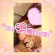 ヒメ日記 2025/04/15 14:03 投稿 花柳まろん しこたま奥様 横浜店