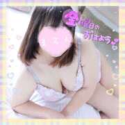 ヒメ日記 2025/08/08 07:52 投稿 花柳まろん しこたま奥様 横浜店