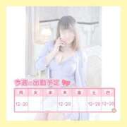 ヒメ日記 2025/08/10 18:02 投稿 花柳まろん しこたま奥様 横浜店