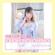 ヒメ日記 2025/09/09 09:03 投稿 花柳まろん しこたま奥様 横浜店