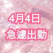 ヒメ日記 2026/04/03 13:42 投稿 花柳まろん しこたま奥様 横浜店