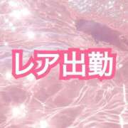 花柳まろん 出勤日🌸◦° しこたま奥様 横浜店