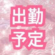 花柳まろん 出勤まとめ🌸◦° しこたま奥様 横浜店