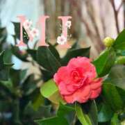 ヒメ日記 2025/01/30 06:30 投稿 大西 みさき CASA BIANCA（カーサ・ビアンカ）