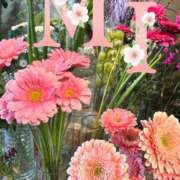 ヒメ日記 2025/02/01 06:30 投稿 大西 みさき CASA BIANCA（カーサ・ビアンカ）