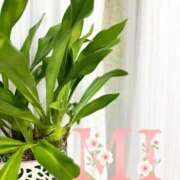 ヒメ日記 2025/03/08 10:27 投稿 大西 みさき CASA BIANCA（カーサ・ビアンカ）