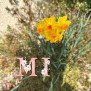 ヒメ日記 2025/03/26 06:30 投稿 大西 みさき CASA BIANCA（カーサ・ビアンカ）