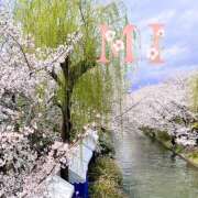 ヒメ日記 2025/04/08 17:27 投稿 大西 みさき CASA BIANCA（カーサ・ビアンカ）