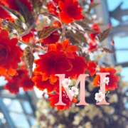 ヒメ日記 2025/04/12 10:26 投稿 大西 みさき CASA BIANCA（カーサ・ビアンカ）