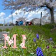 ヒメ日記 2025/04/17 08:03 投稿 大西 みさき CASA BIANCA（カーサ・ビアンカ）